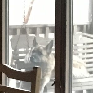 Meet your Posher, Logan